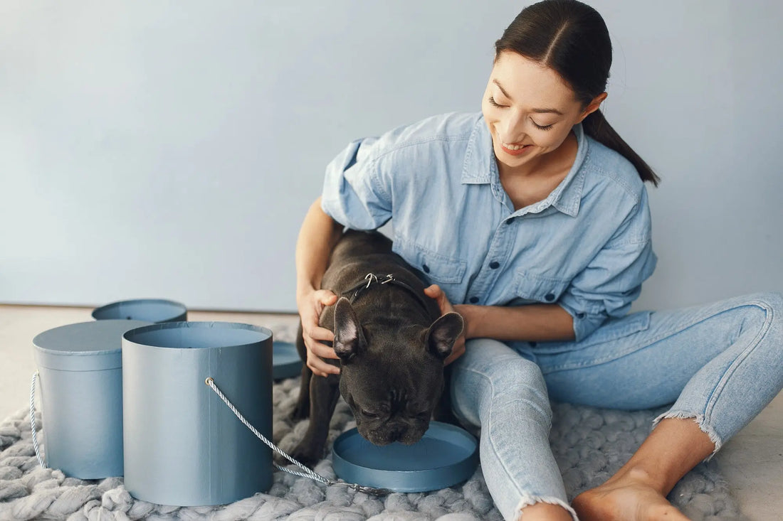 Comfort-Care-Smart-Pet-Essentials-Every-Owner-Needs SKYNIX