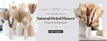 85pcs Natural Pampas Grass Boho Dried Flower Bouquet for Home & Wedding SKYNIX