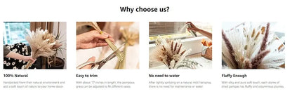 85pcs Natural Pampas Grass Boho Dried Flower Bouquet for Home & Wedding SKYNIX