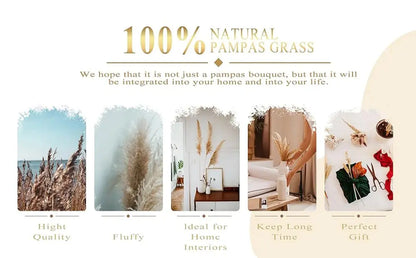 85pcs Natural Pampas Grass Boho Dried Flower Bouquet for Home & Wedding SKYNIX