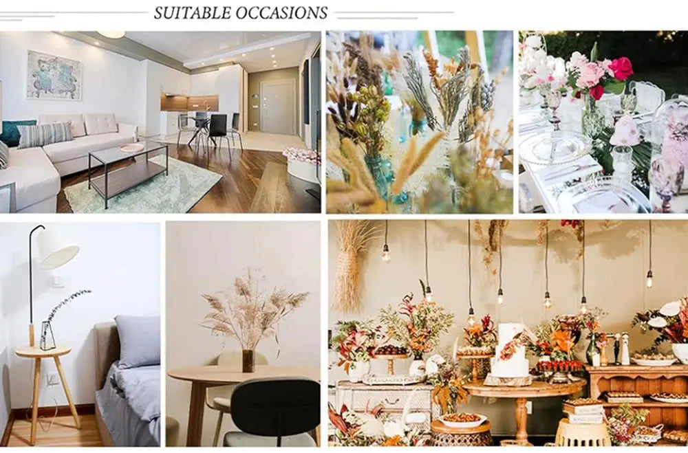 85pcs Natural Pampas Grass Boho Dried Flower Bouquet for Home & Wedding SKYNIX