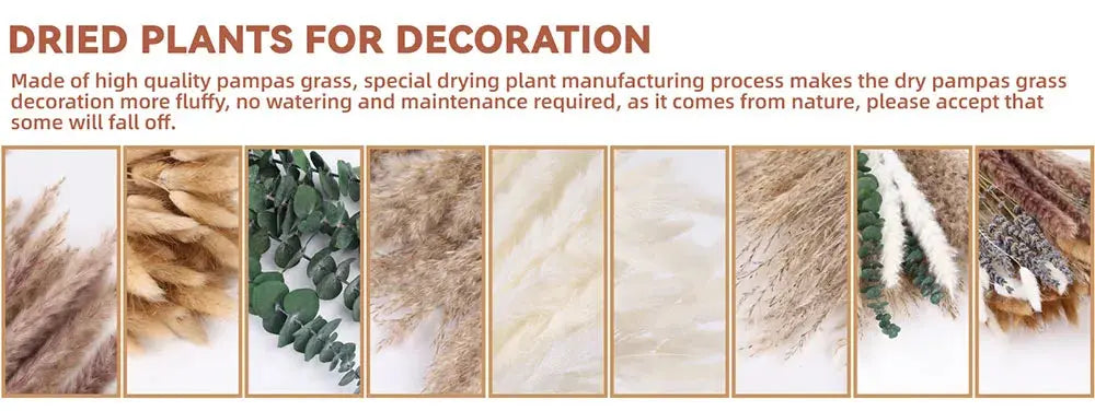 85pcs Natural Pampas Grass Boho Dried Flower Bouquet for Home & Wedding SKYNIX