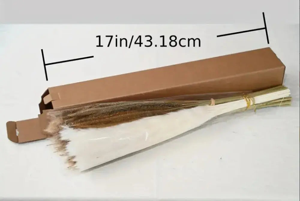 85pcs Natural Pampas Grass Boho Dried Flower Bouquet for Home & Wedding SKYNIX