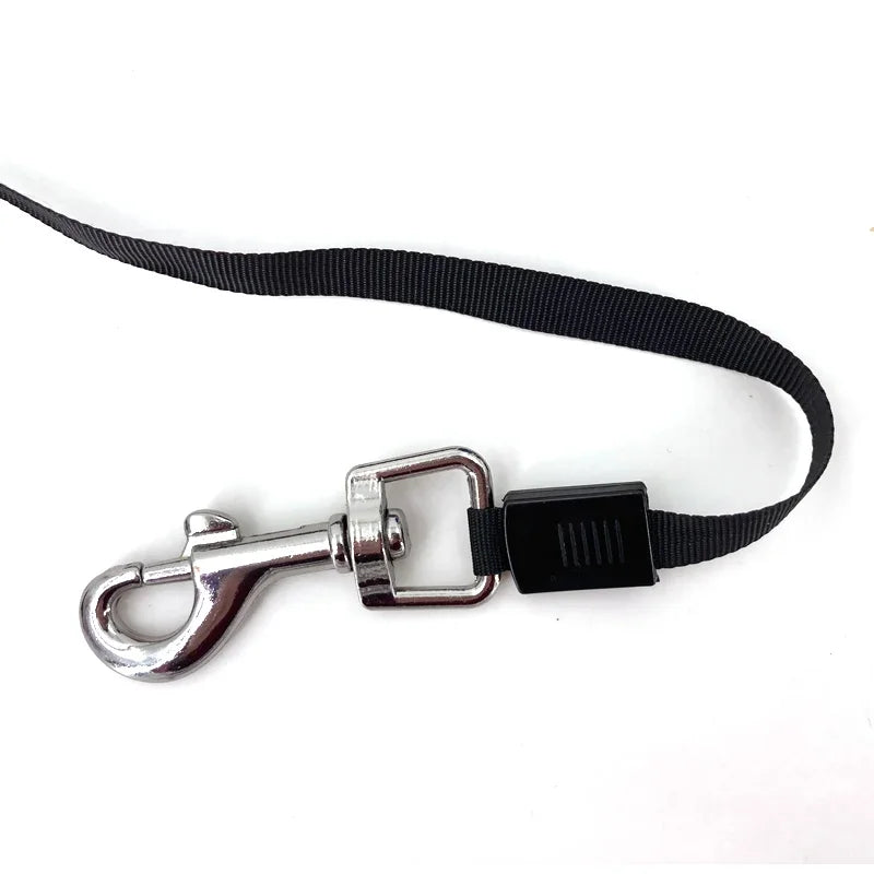 Retractable Duel Dog Leash 3M/5M – Automatic Pet Traction Rope for Small & Medium Dogs