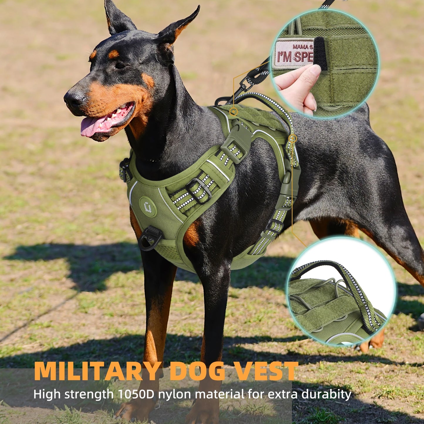 Dog wearing a green military-style harness with text about durability on a grassy background.