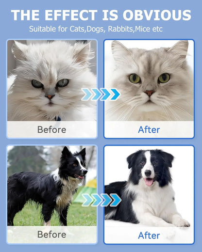 🐾 Pet Cleaning Wipes Gloves – Deodorizing & Grooming Wipes for Dogs, Cats & Small Pets - SKYNIX