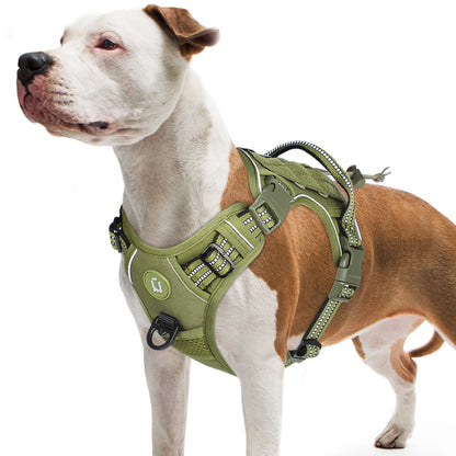 Dog wearing a green harness on a white background