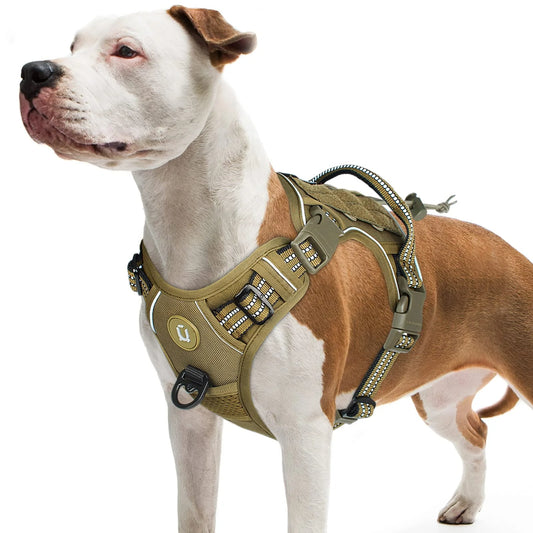 Dog wearing a tactical harness on a white background
