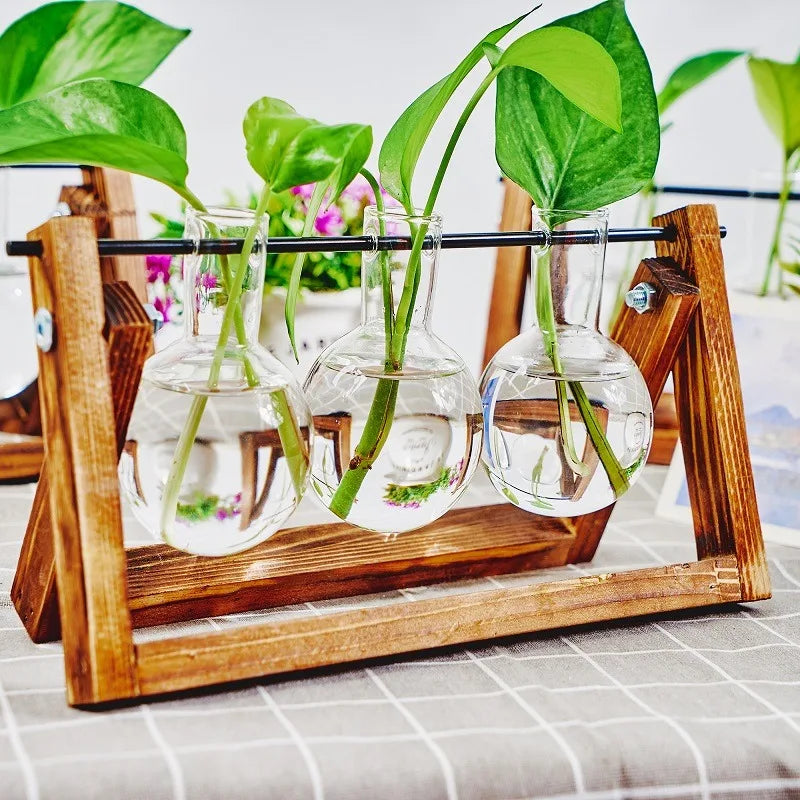 Tabletop Glass Planter – Propagation Station with Wooden Rack | Hydroponic Terrarium Vases for Home & Room Decor