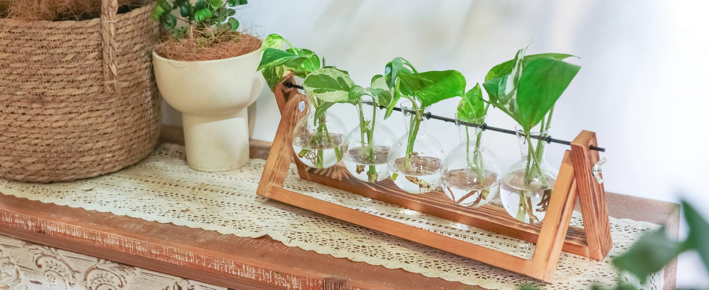 Tabletop Glass Planter – Propagation Station with Wooden Rack | Hydroponic Terrarium Vases for Home & Room Decor
