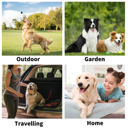 🐾 Pet Cleaning Wipes Gloves – Deodorizing & Grooming Wipes for Dogs, Cats & Small Pets - SKYNIX