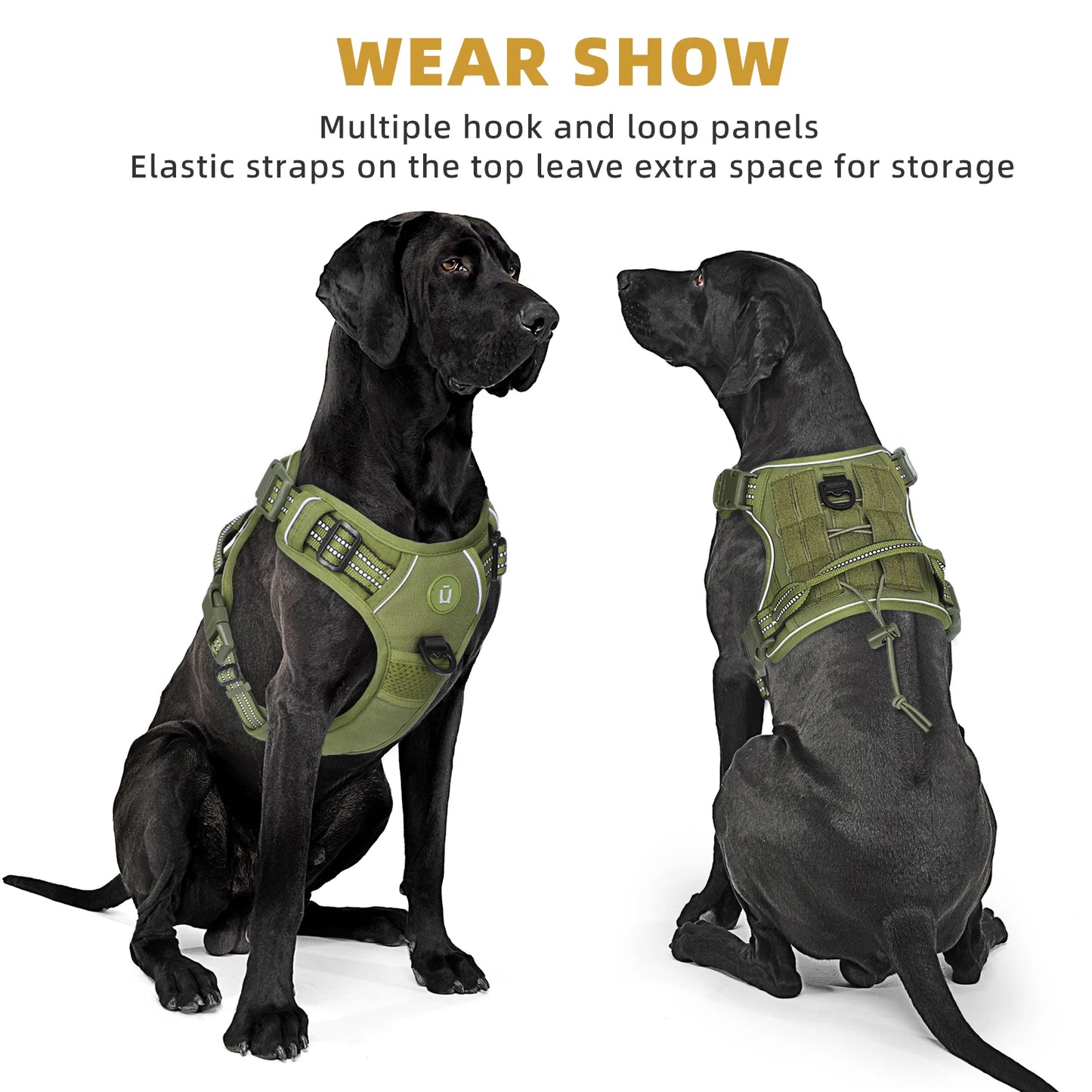Two dogs wearing green harnesses with text about multiple hook and loop panels and elastic straps.