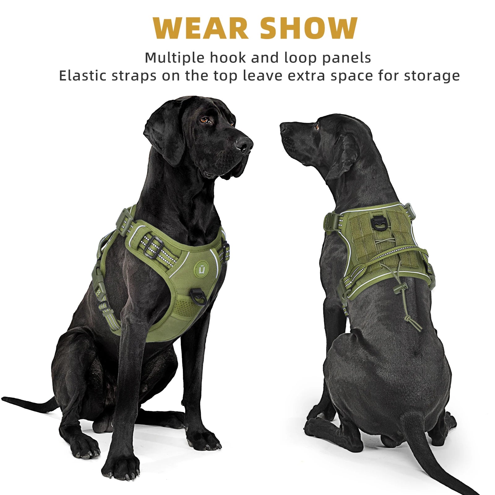 Two dogs wearing green harnesses with text about multiple hook and loop panels and elastic straps.