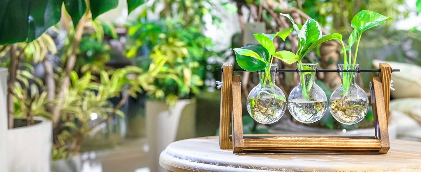 Tabletop Glass Planter – Propagation Station with Wooden Rack | Hydroponic Terrarium Vases for Home & Room Decor