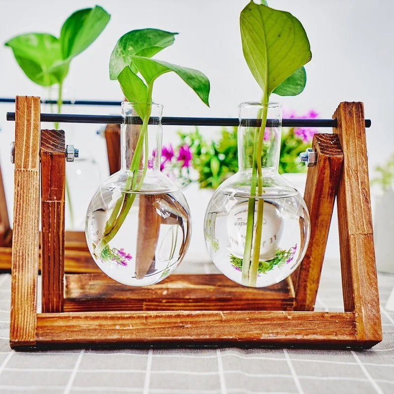 Tabletop Glass Planter – Propagation Station with Wooden Rack | Hydroponic Terrarium Vases for Home & Room Decor