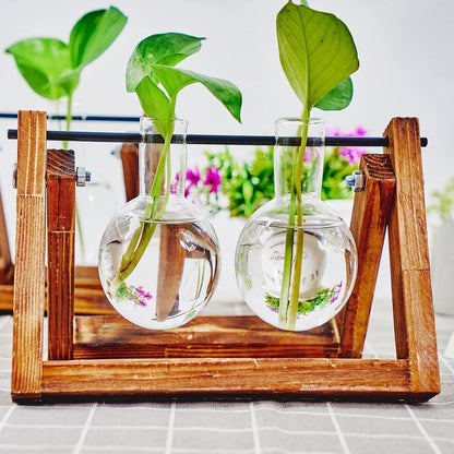 Tabletop Glass Planter – Propagation Station with Wooden Rack | Hydroponic Terrarium Vases for Home & Room Decor