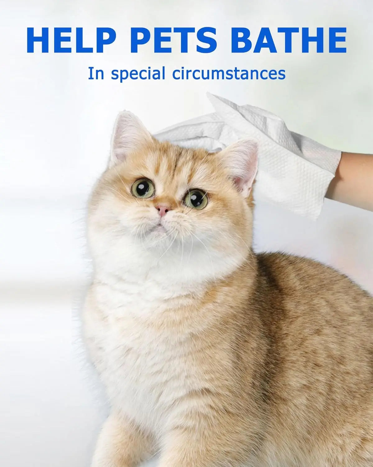 🐾 Pet Cleaning Wipes Gloves – Deodorizing & Grooming Wipes for Dogs, Cats & Small Pets - SKYNIX