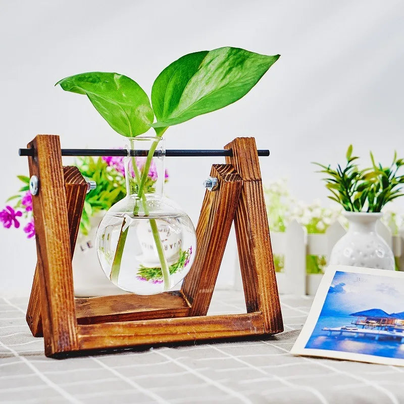 Tabletop Glass Planter – Propagation Station with Wooden Rack | Hydroponic Terrarium Vases for Home & Room Decor