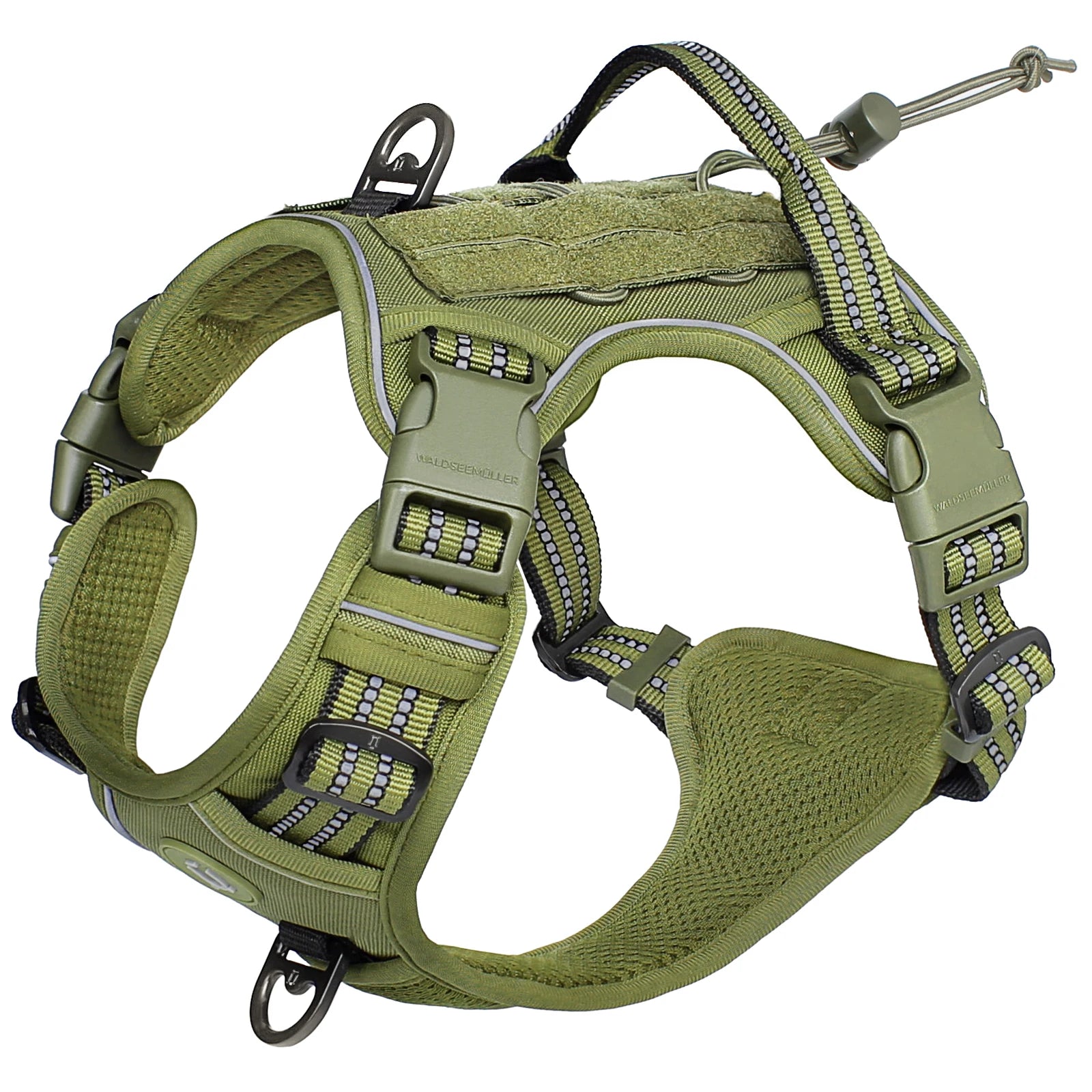 Green dog harness with reflective stripes on a white background