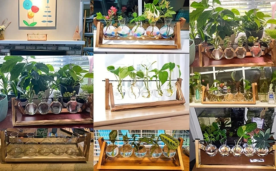 Tabletop Glass Planter – Propagation Station with Wooden Rack | Hydroponic Terrarium Vases for Home & Room Decor