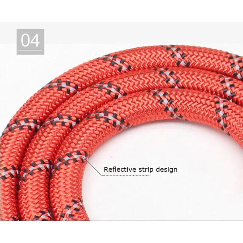 Reflective Dog Leash with Comfortable Padded Handle – Double Heavy-Duty Traction Rope for Strong Dogs