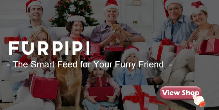 Feed & Watch Your Pet Anytime — From Anywhere, pet monitoring device